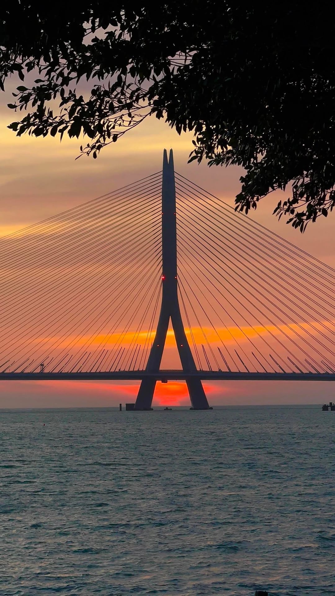 Danjiang Bridge stands above the Tamsui River at sunset, with the sun centered beneath its single tower and dark tree branches framing the upper edge.